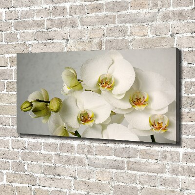 Tableau sur toile Orchidée blanche