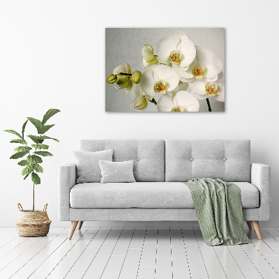 Tableau sur toile Orchidée blanche