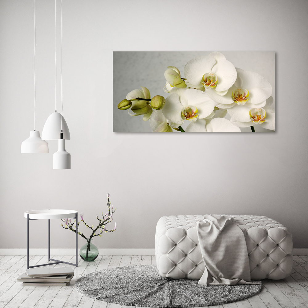 Tableau sur toile Orchidée blanche