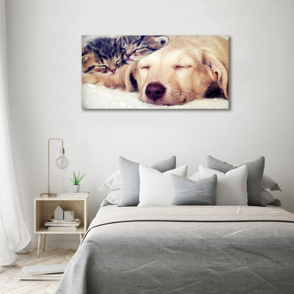 Tableau toile imprimée Chiot et chats