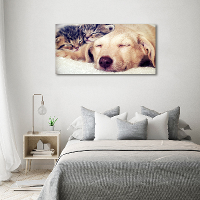 Tableau toile imprimée Chiot et chats