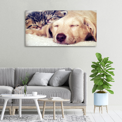 Tableau toile imprimée Chiot et chats