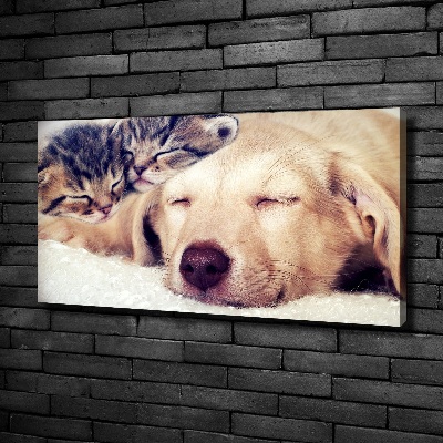 Tableau toile imprimée Chiot et chats