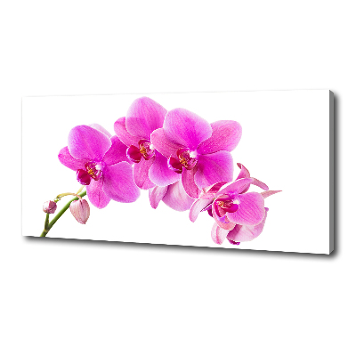 Tableau sur toile Orchidée rose