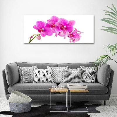 Tableau sur toile Orchidée rose