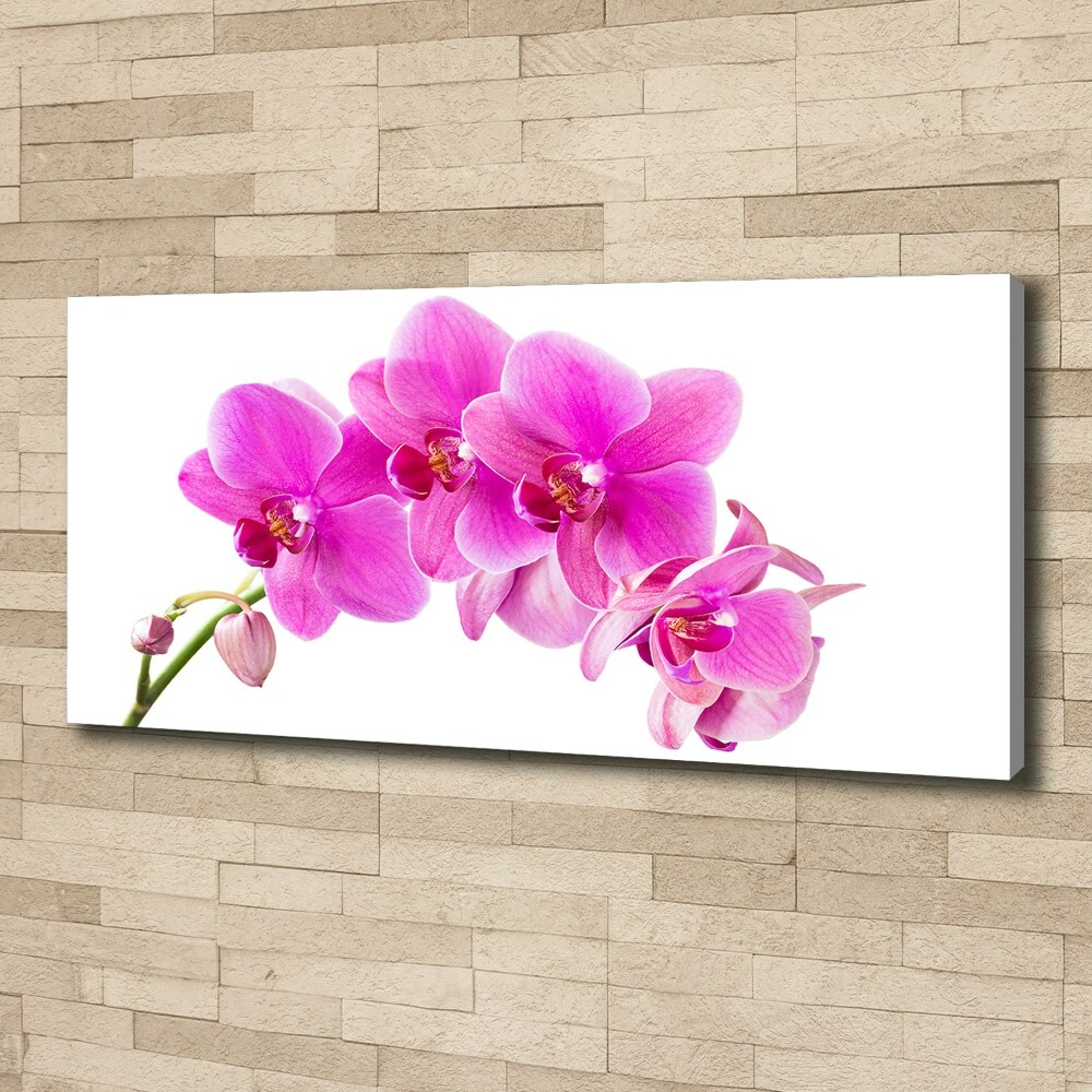 Tableau sur toile Orchidée rose