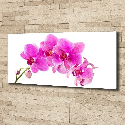 Tableau sur toile Orchidée rose