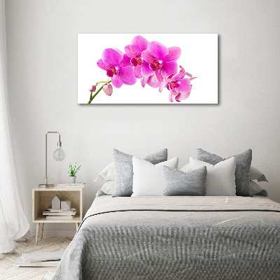 Tableau sur toile Orchidée rose