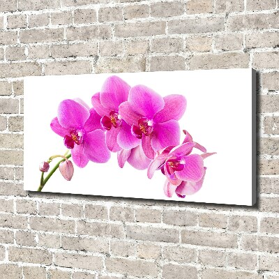 Tableau sur toile Orchidée rose