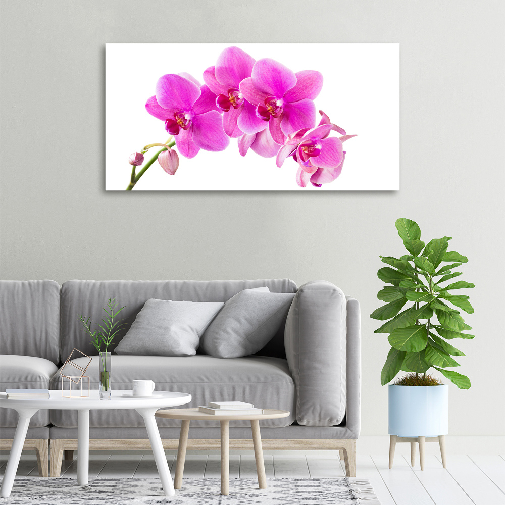 Tableau sur toile Orchidée rose