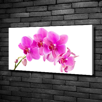 Tableau sur toile Orchidée rose