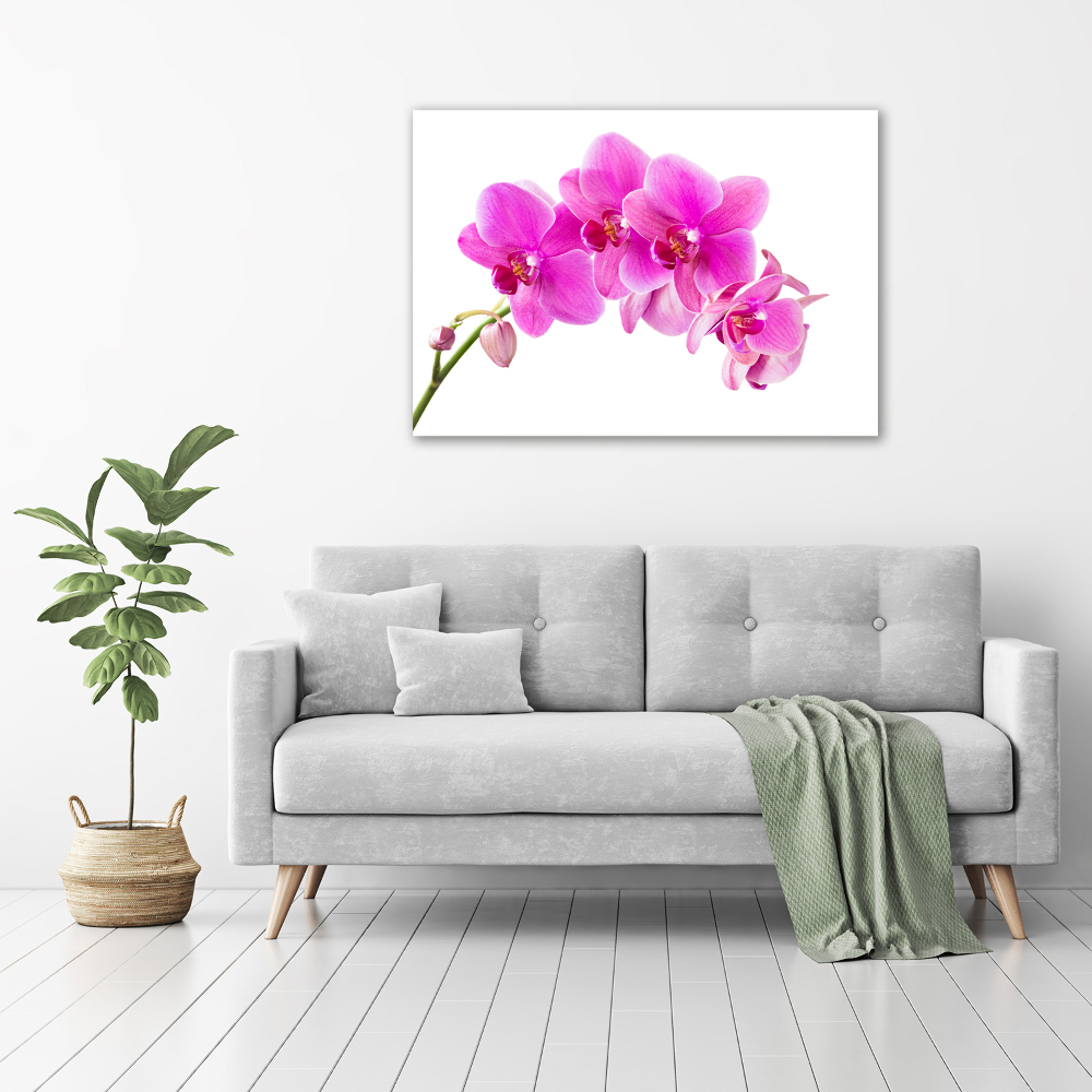 Tableau sur toile Orchidée rose