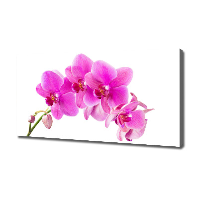 Tableau sur toile Orchidée rose