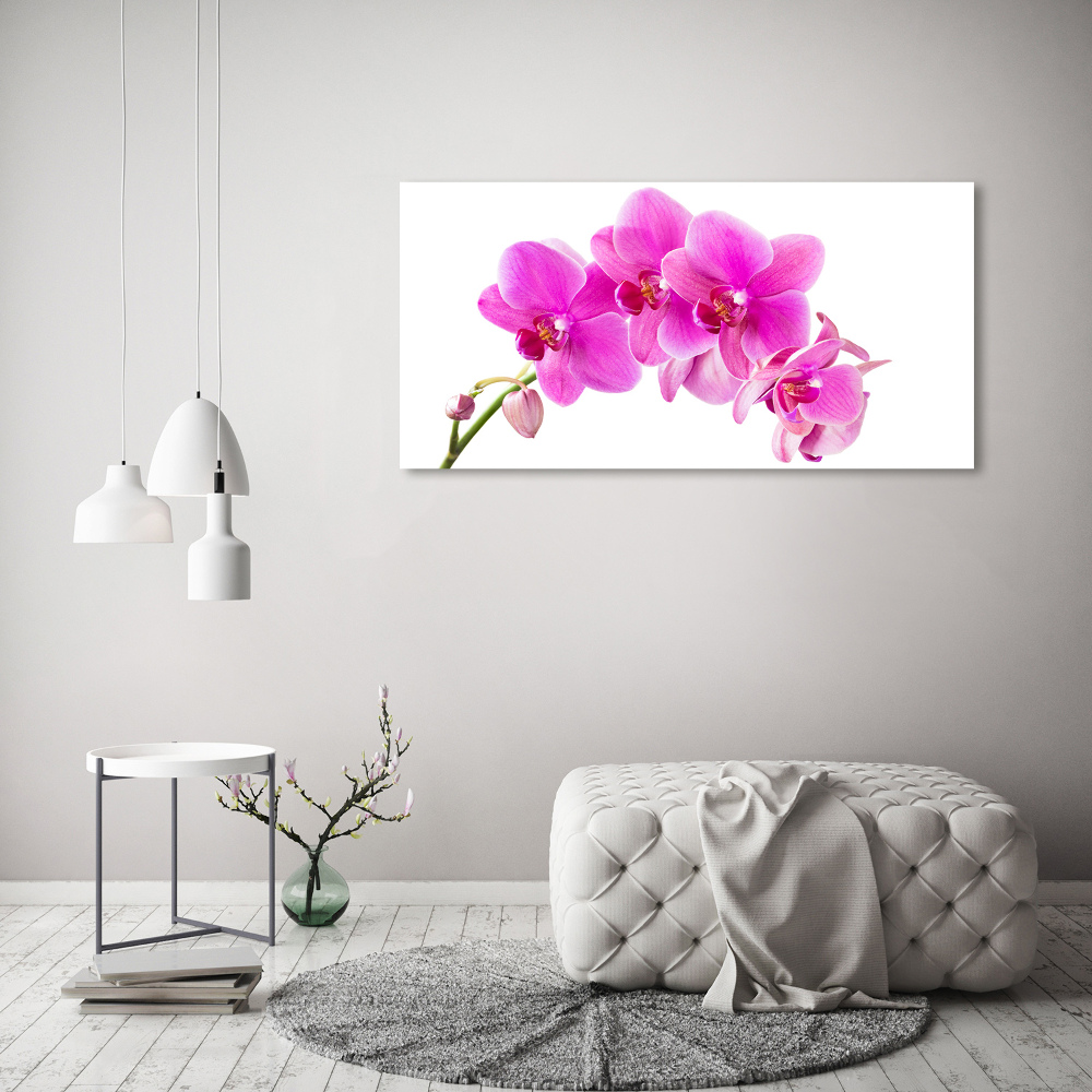 Tableau sur toile Orchidée rose