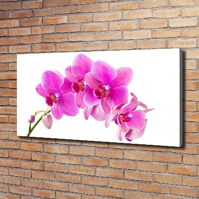 Tableau sur toile Orchidée rose