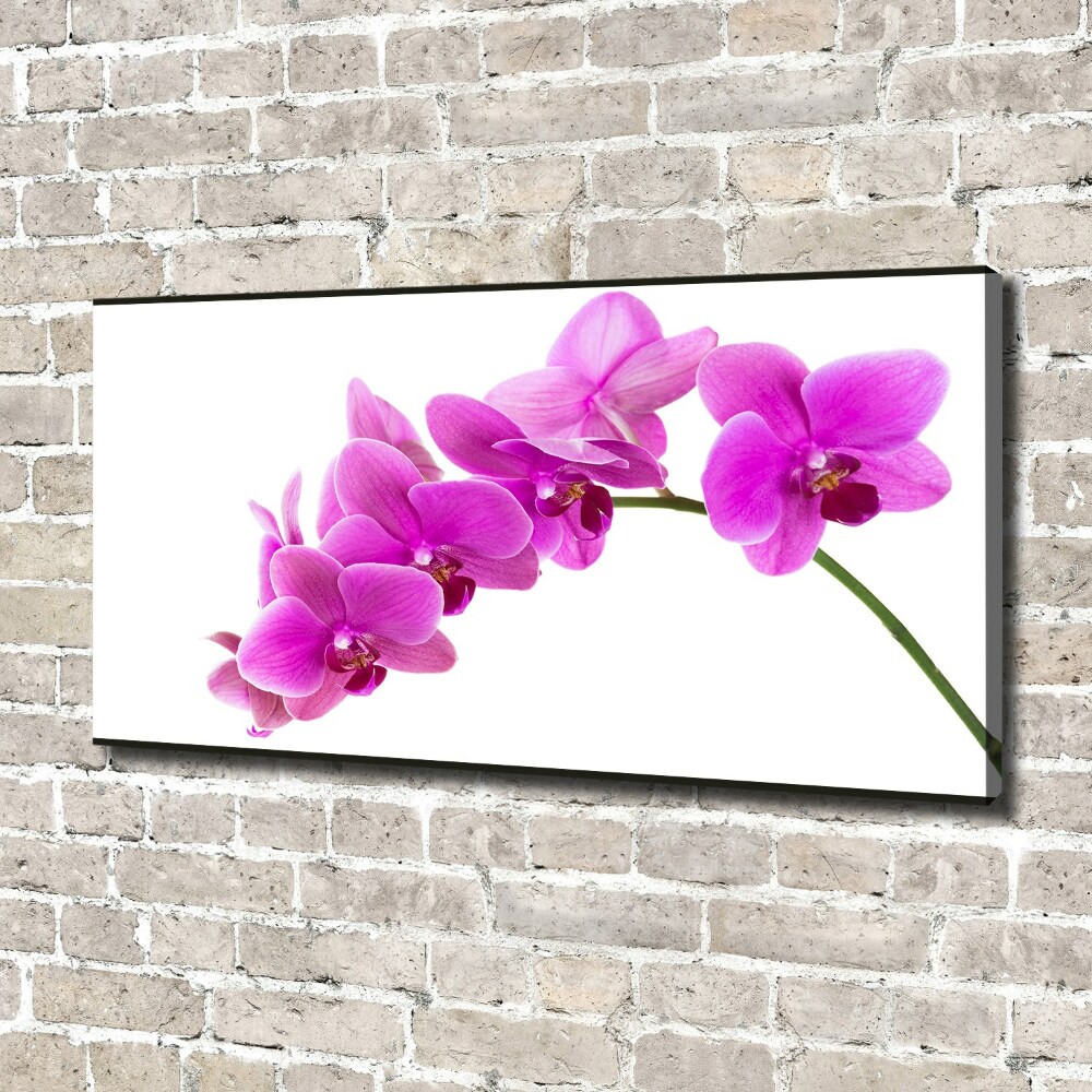 Tableau toile imprimée Orchidée rose