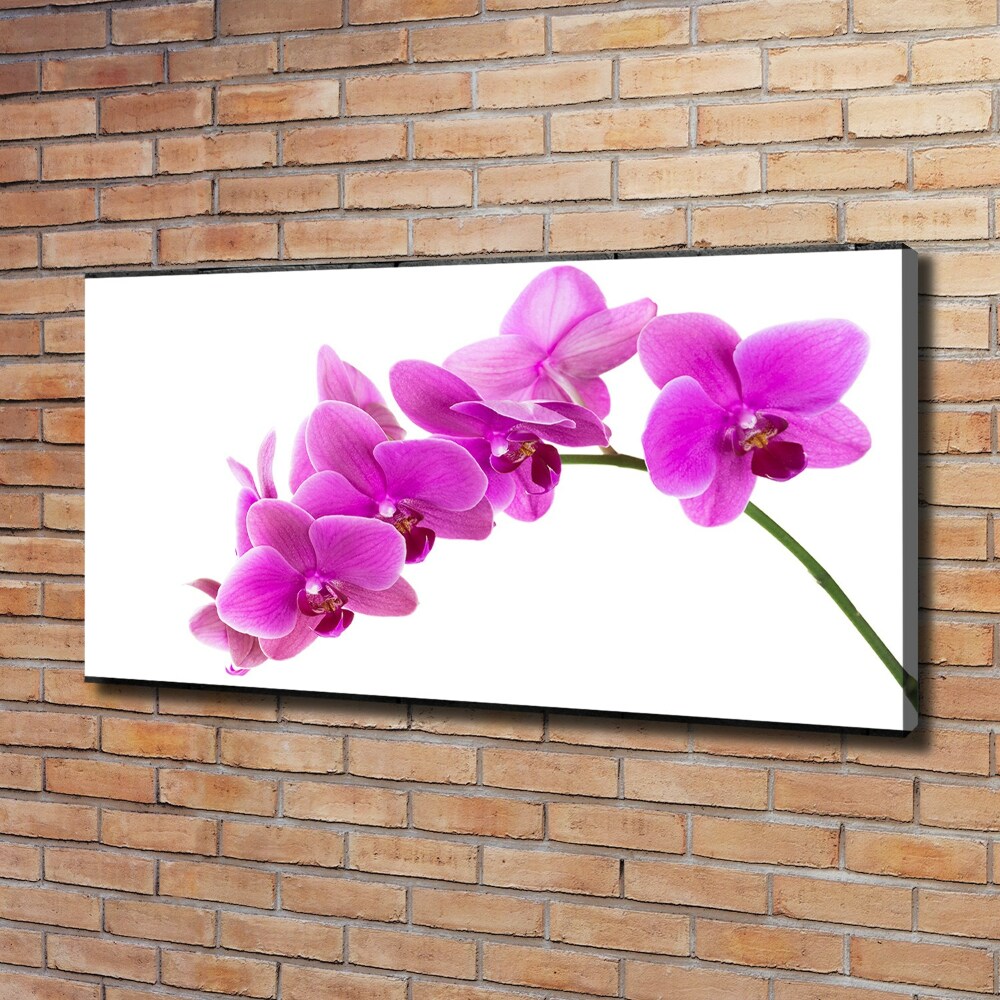 Tableau toile imprimée Orchidée rose