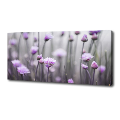 Tableau sur toile Fleurs de ciboulette