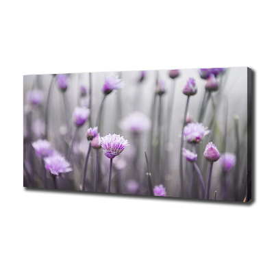 Tableau sur toile Fleurs de ciboulette