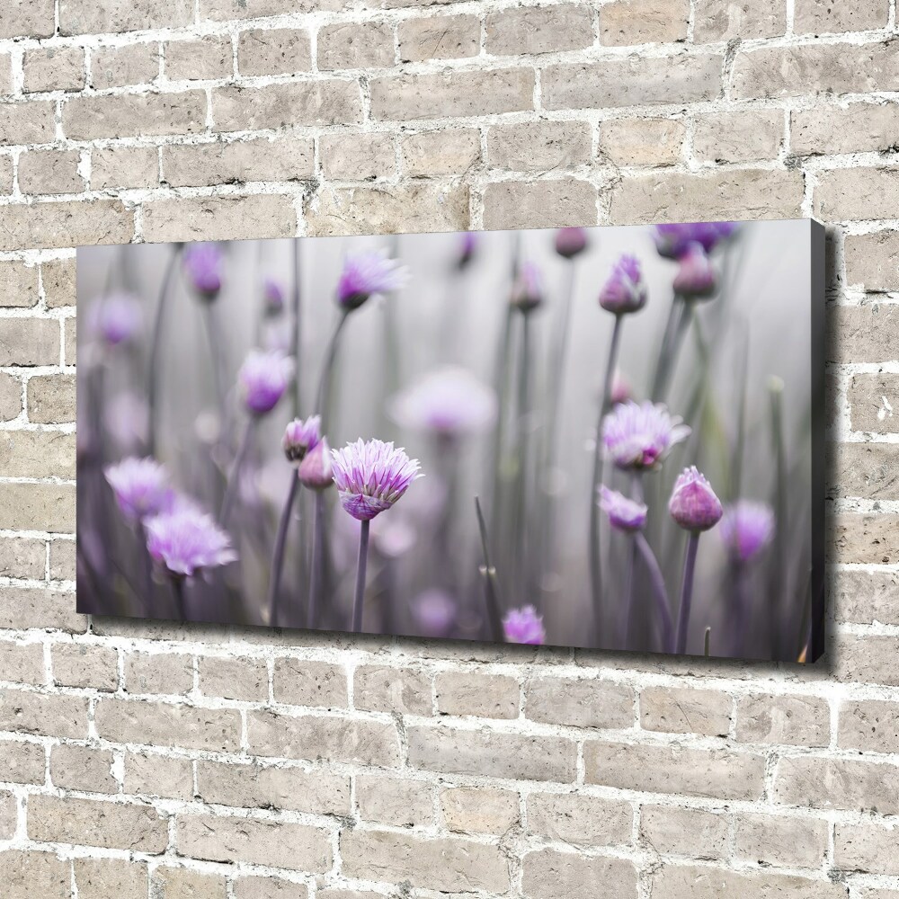 Tableau sur toile Fleurs de ciboulette