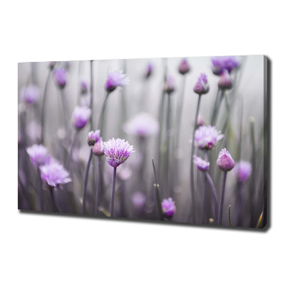 Tableau sur toile Fleurs de ciboulette