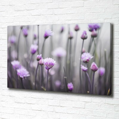 Tableau sur toile Fleurs de ciboulette