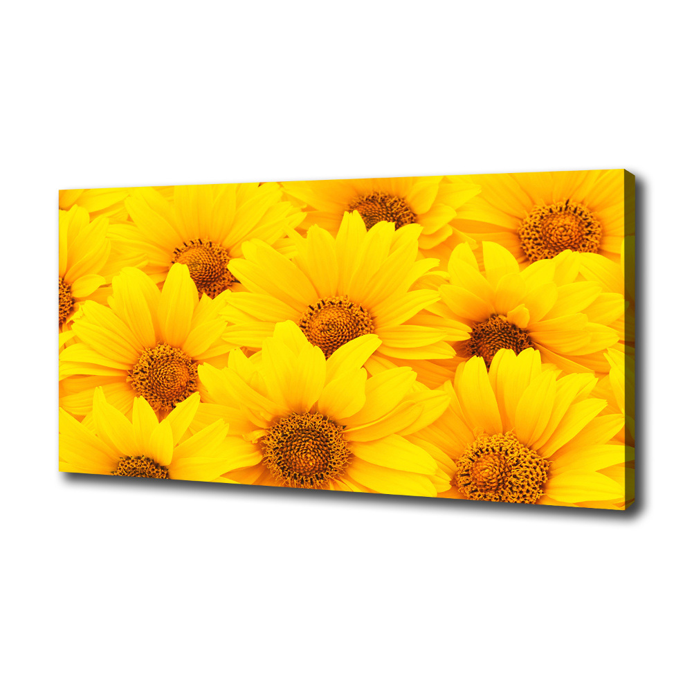 Tableau sur toile Tournesol