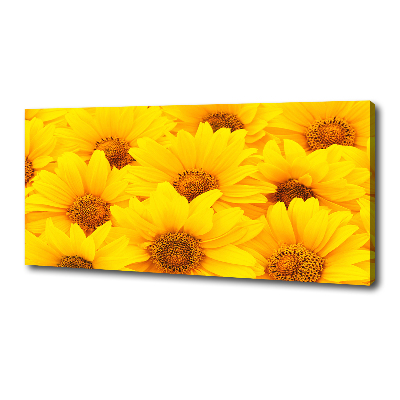 Tableau sur toile Tournesol