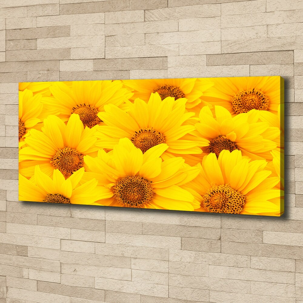 Tableau sur toile Tournesol