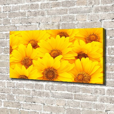 Tableau sur toile Tournesol