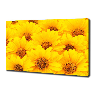 Tableau sur toile Tournesol