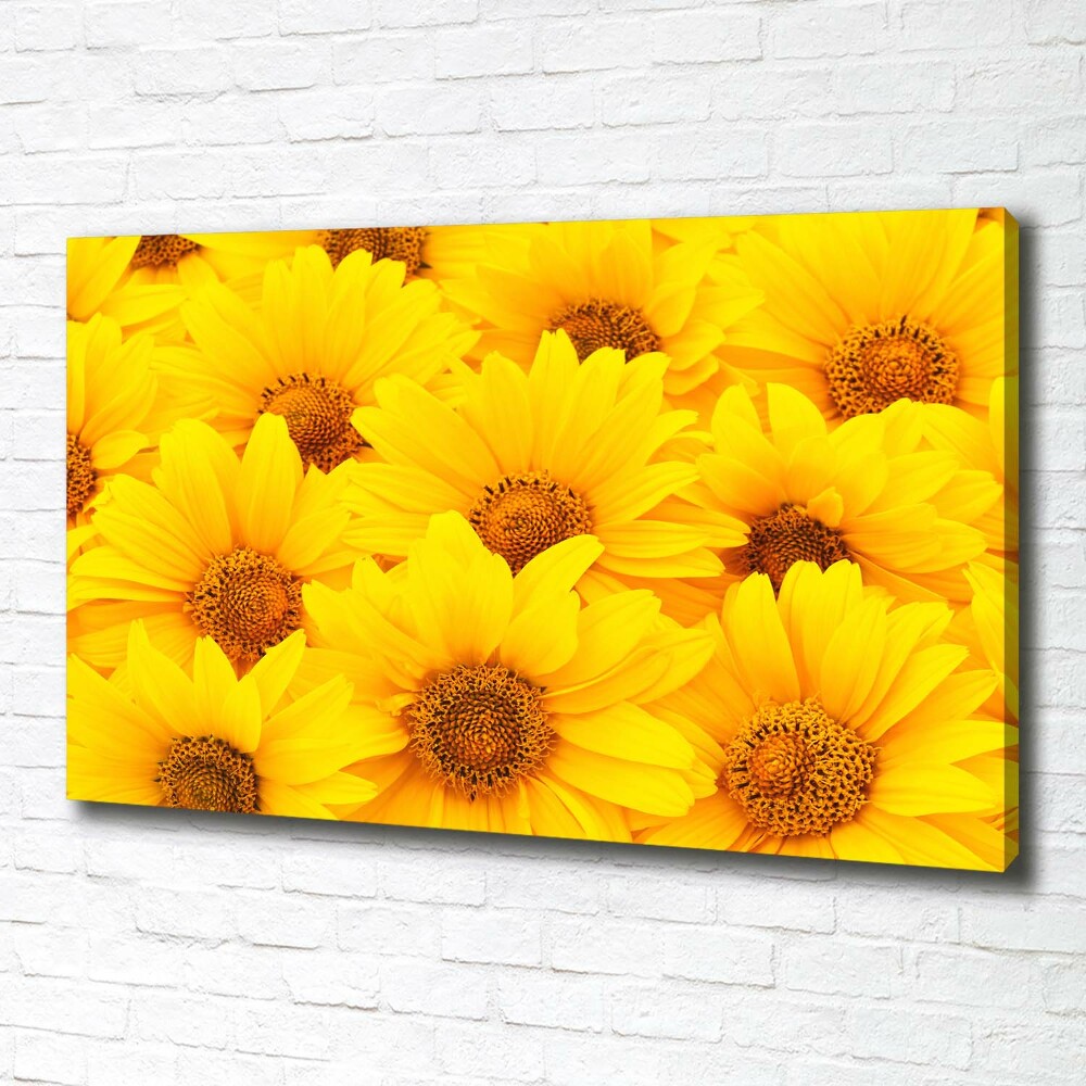 Tableau sur toile Tournesol