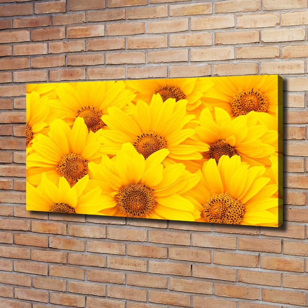 Tableau sur toile Tournesol