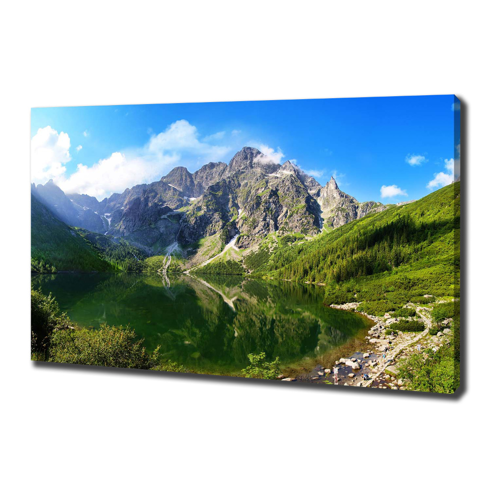 Tableau toile imprimée Oeil moral Tatras