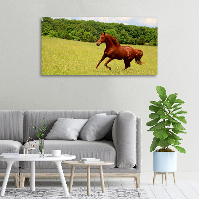 Tableau sur toile Cheval dans un pré