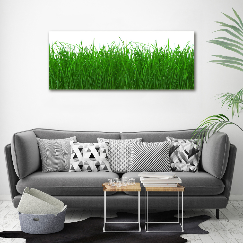 Tableau sur toile Herbe