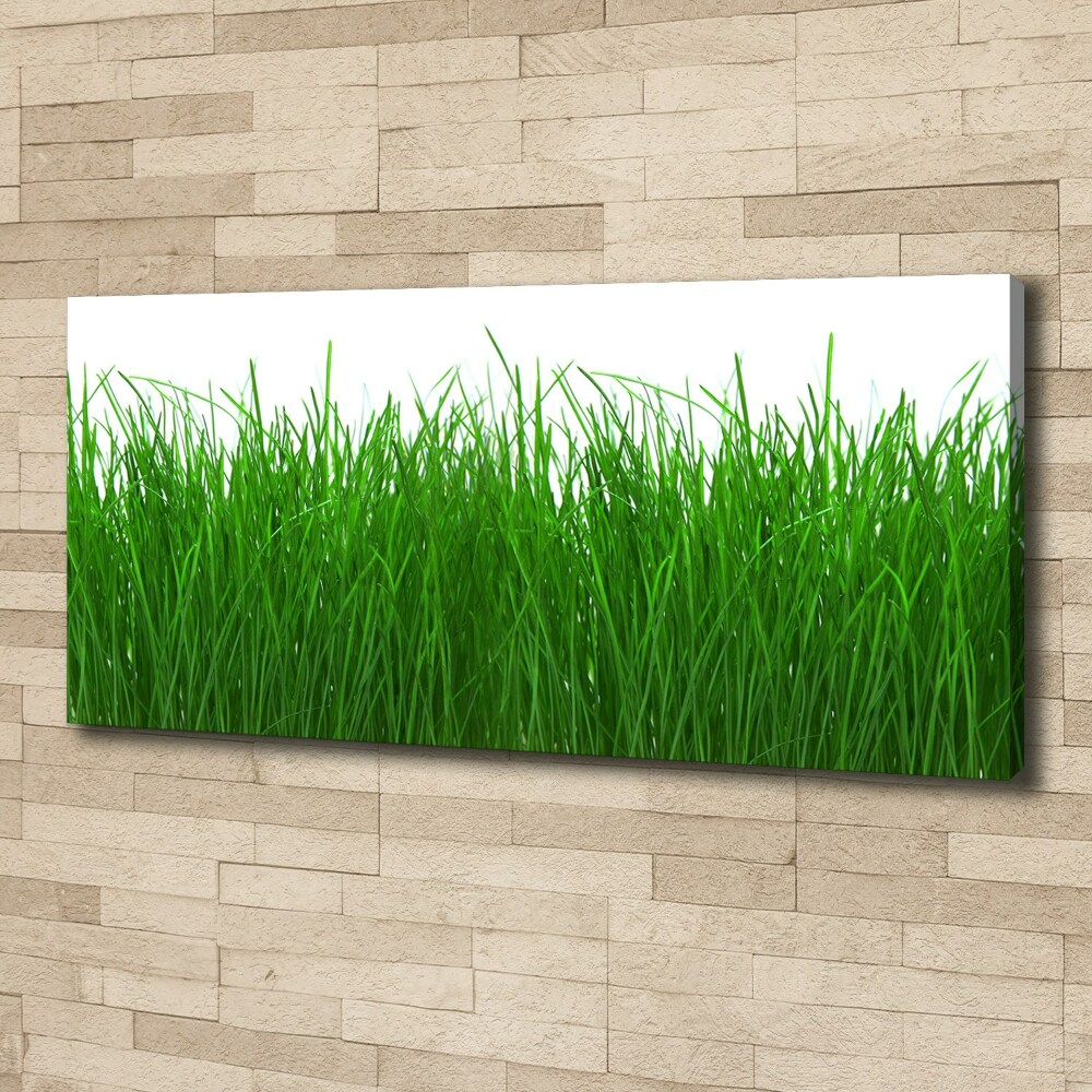 Tableau sur toile Herbe