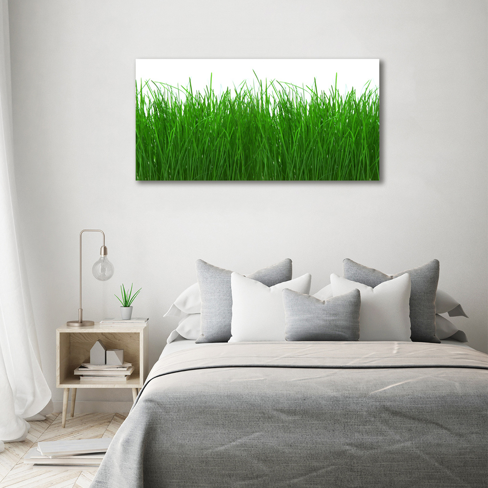 Tableau sur toile Herbe