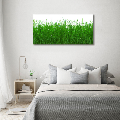 Tableau sur toile Herbe