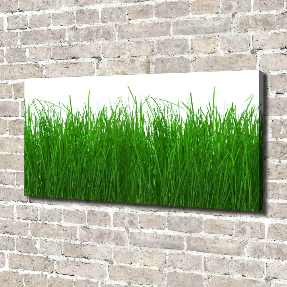 Tableau sur toile Herbe