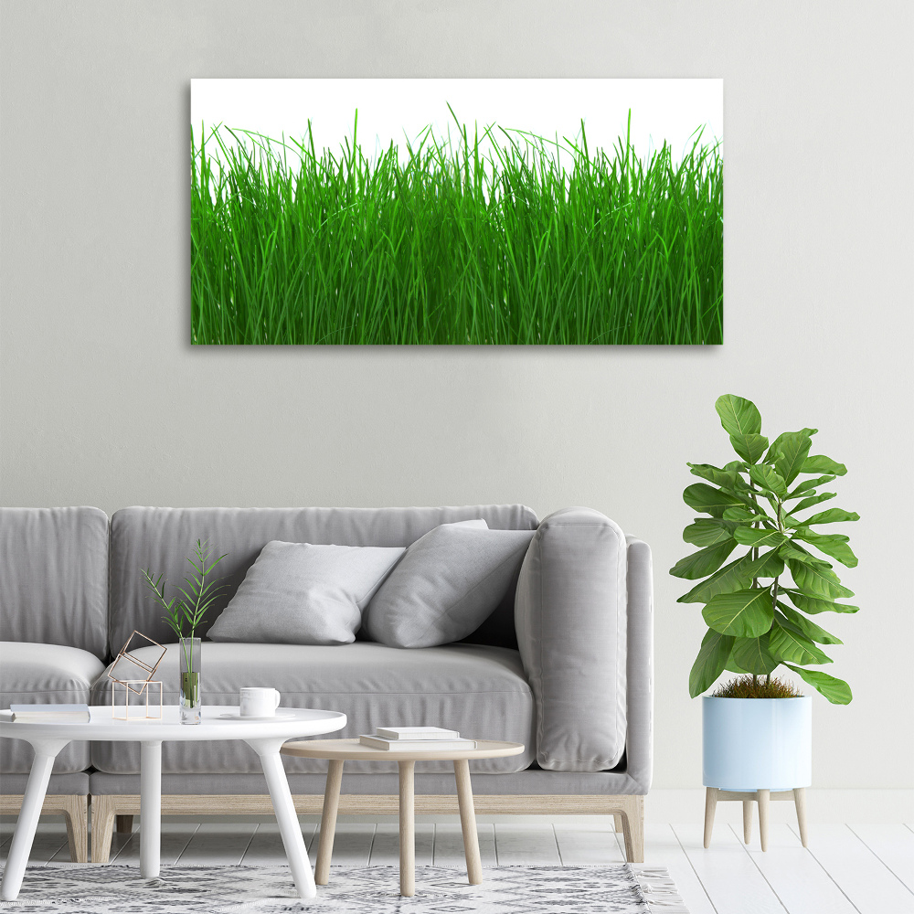 Tableau sur toile Herbe