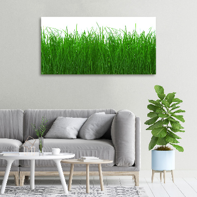 Tableau sur toile Herbe