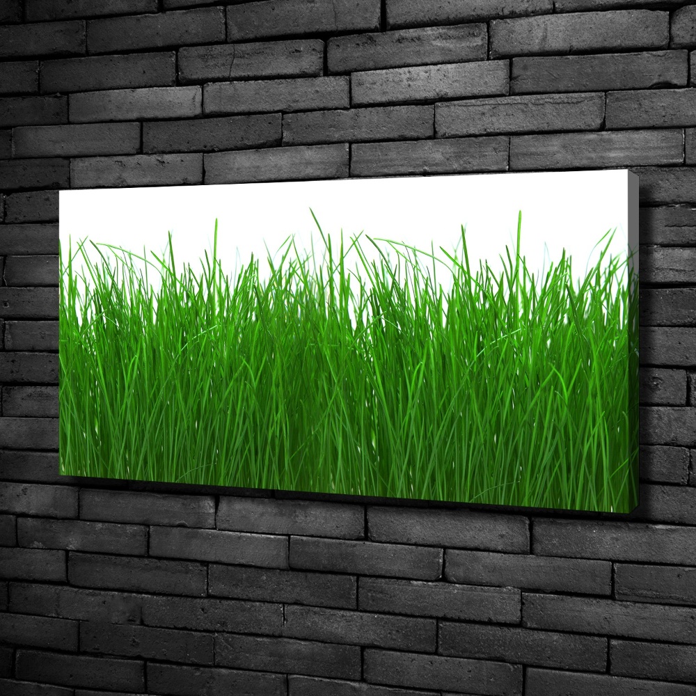 Tableau sur toile Herbe