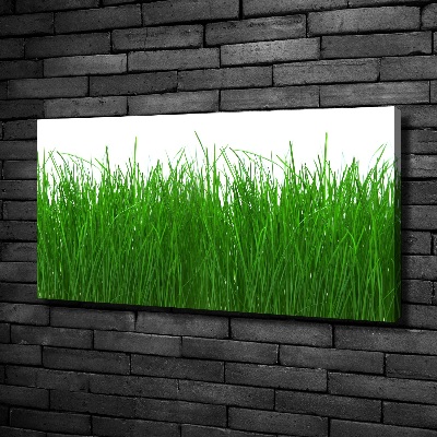 Tableau sur toile Herbe