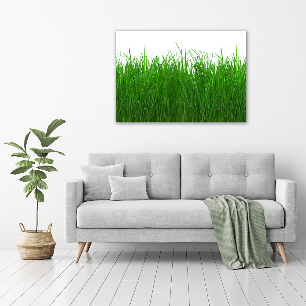 Tableau sur toile Herbe