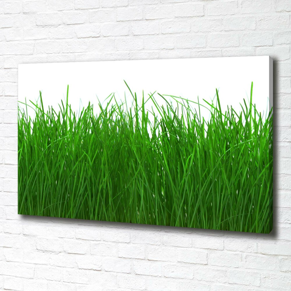 Tableau sur toile Herbe