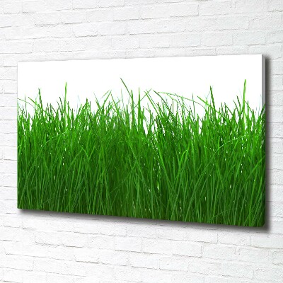 Tableau sur toile Herbe