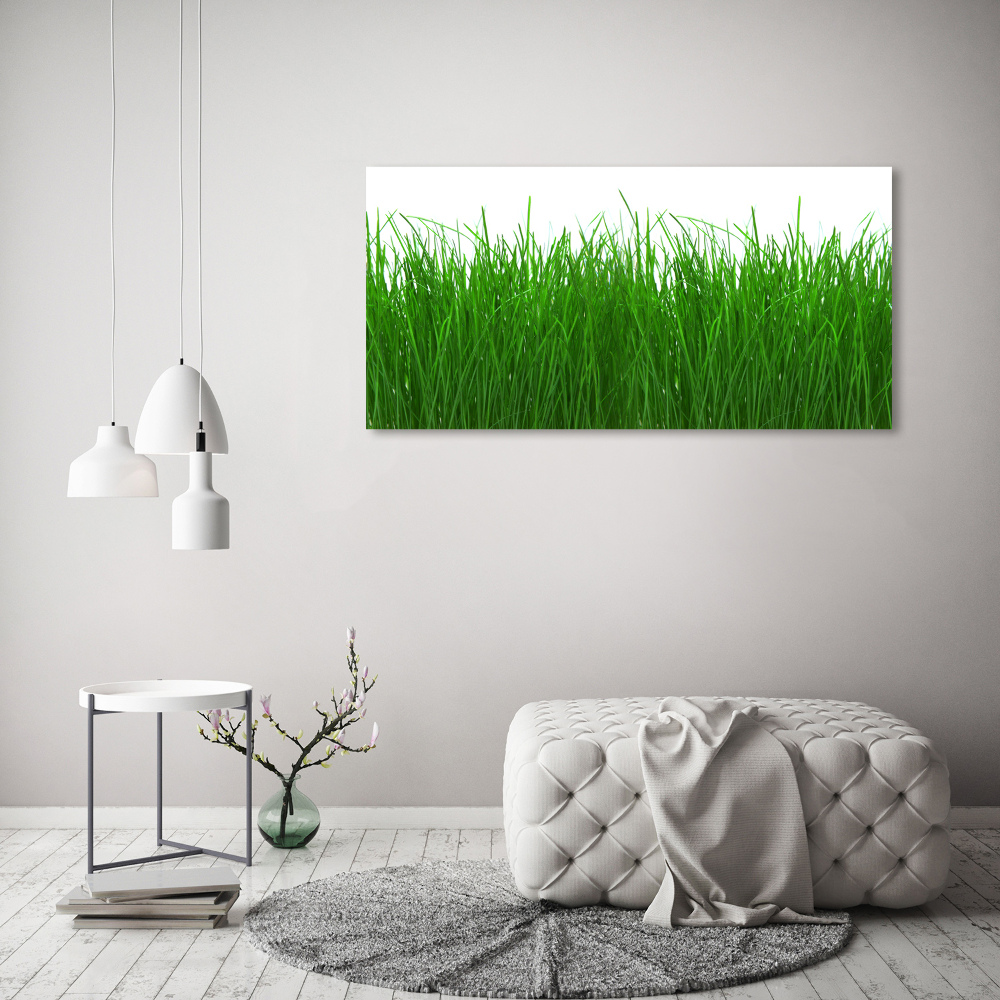 Tableau sur toile Herbe