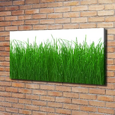 Tableau sur toile Herbe