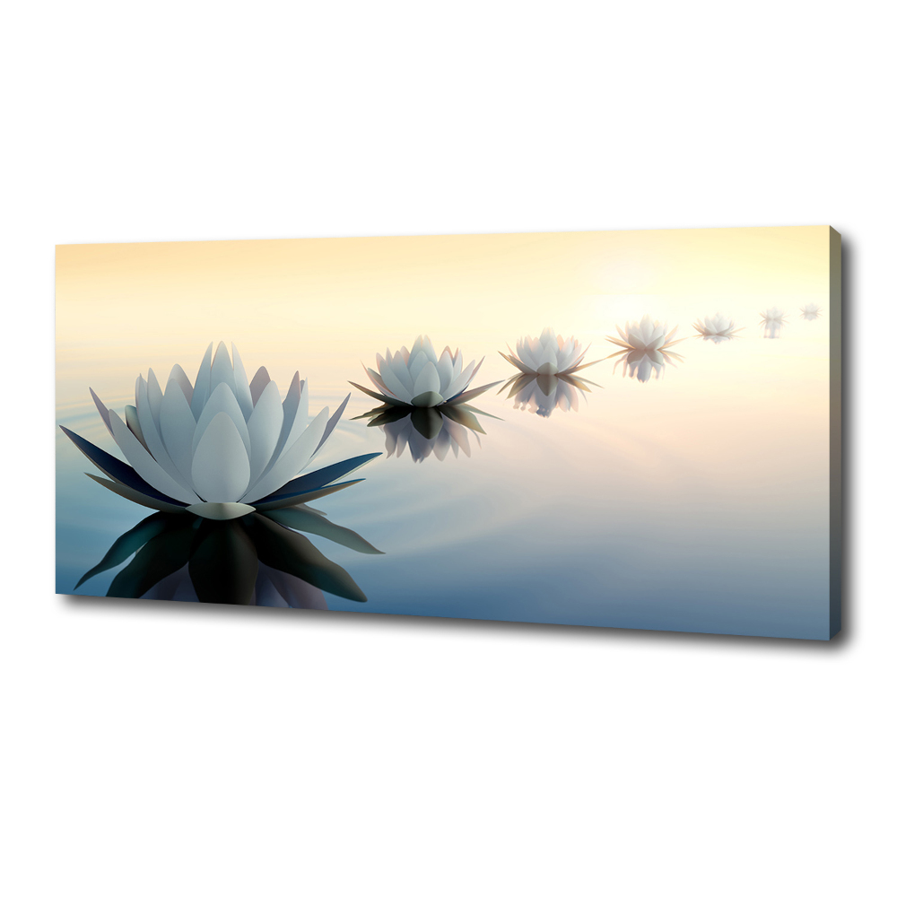 Tableau photo sur toile Fleurs de lotus